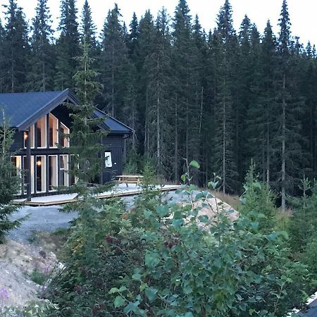Lillebjorn Βίλα Trysil Εξωτερικό φωτογραφία