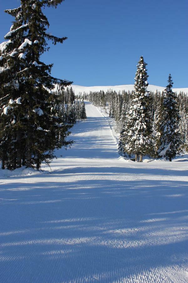 Lillebjorn Βίλα Trysil Εξωτερικό φωτογραφία