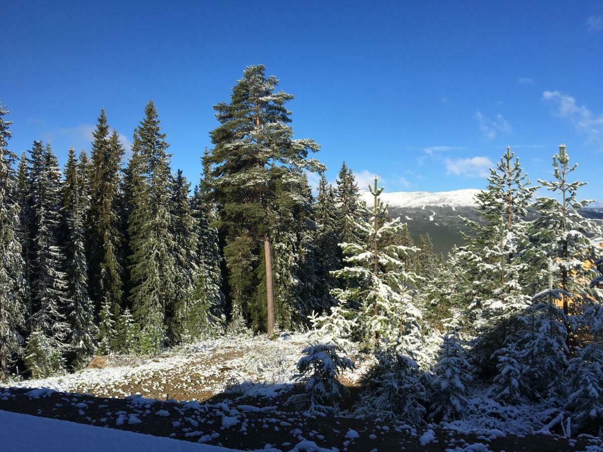 Lillebjorn Βίλα Trysil Εξωτερικό φωτογραφία